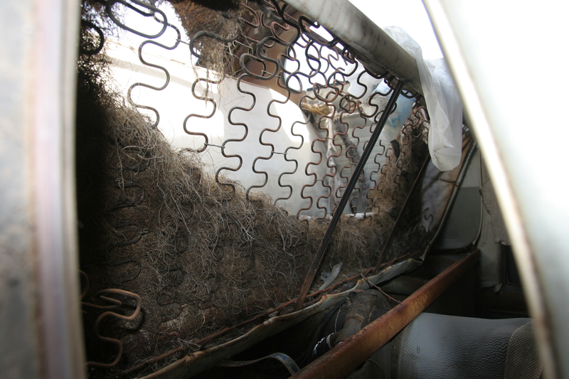 Illustration for article titled 62 Beetle